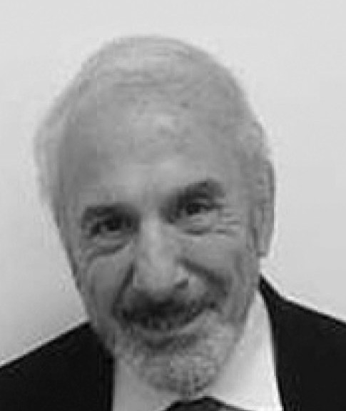 David E. Birenbaum
