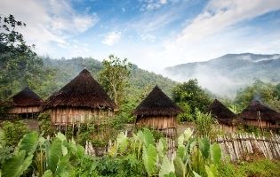 Huts in Papua New Guinea