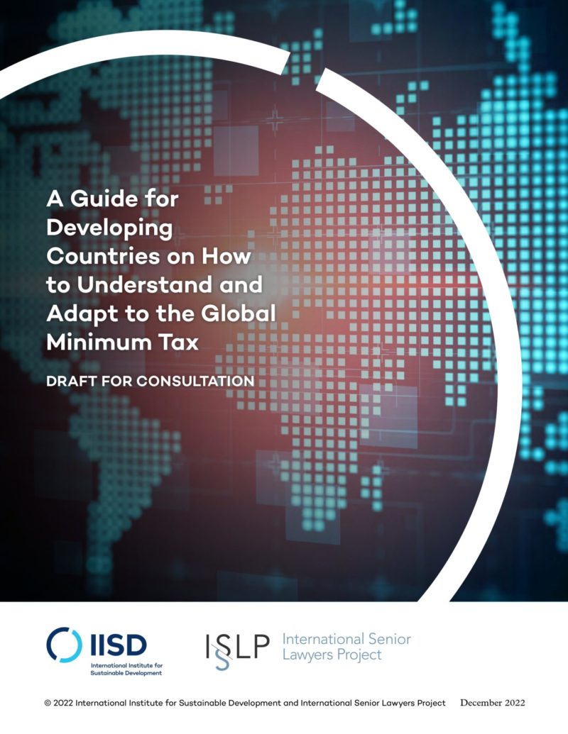 A Guide for Developing Countries on How to Understand and Adapt to the Global Minimum Tax